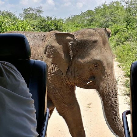 Big Game Udawalawe - By Eco Team Hotel Екстериор снимка