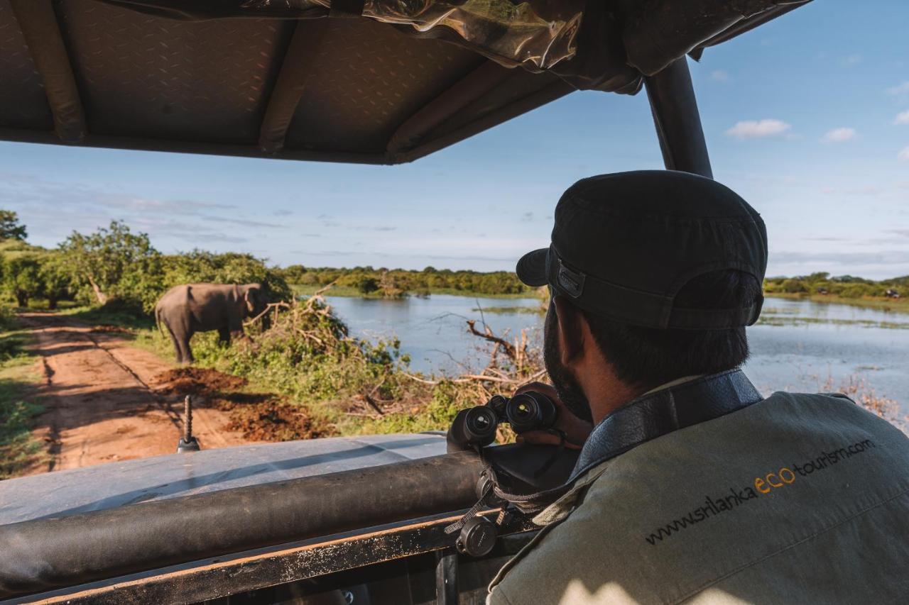 Big Game Udawalawe - By Eco Team Hotel Екстериор снимка