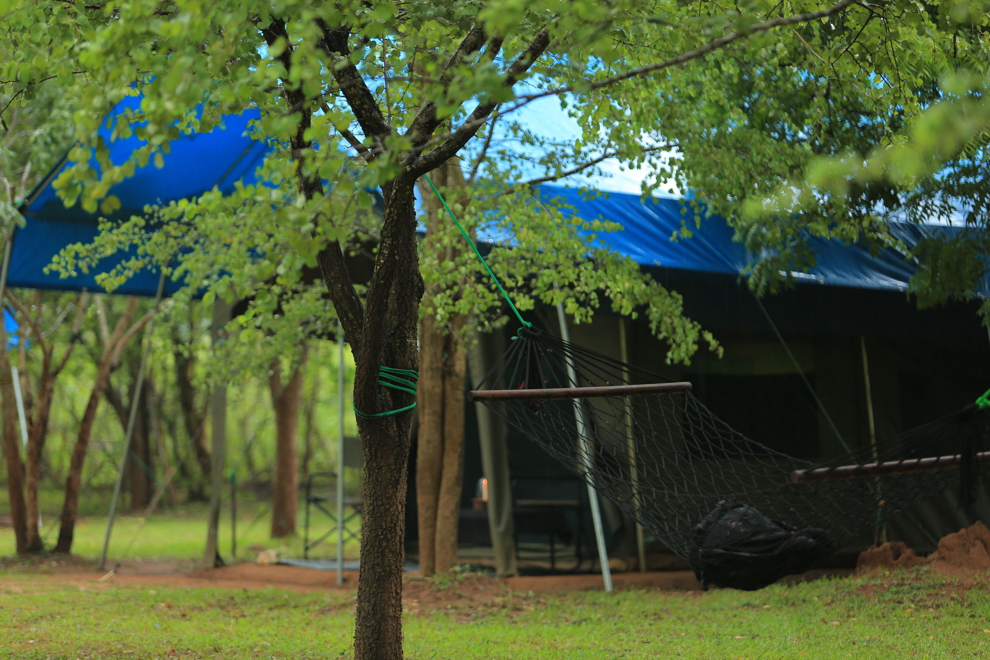 Big Game Udawalawe - By Eco Team Hotel Екстериор снимка