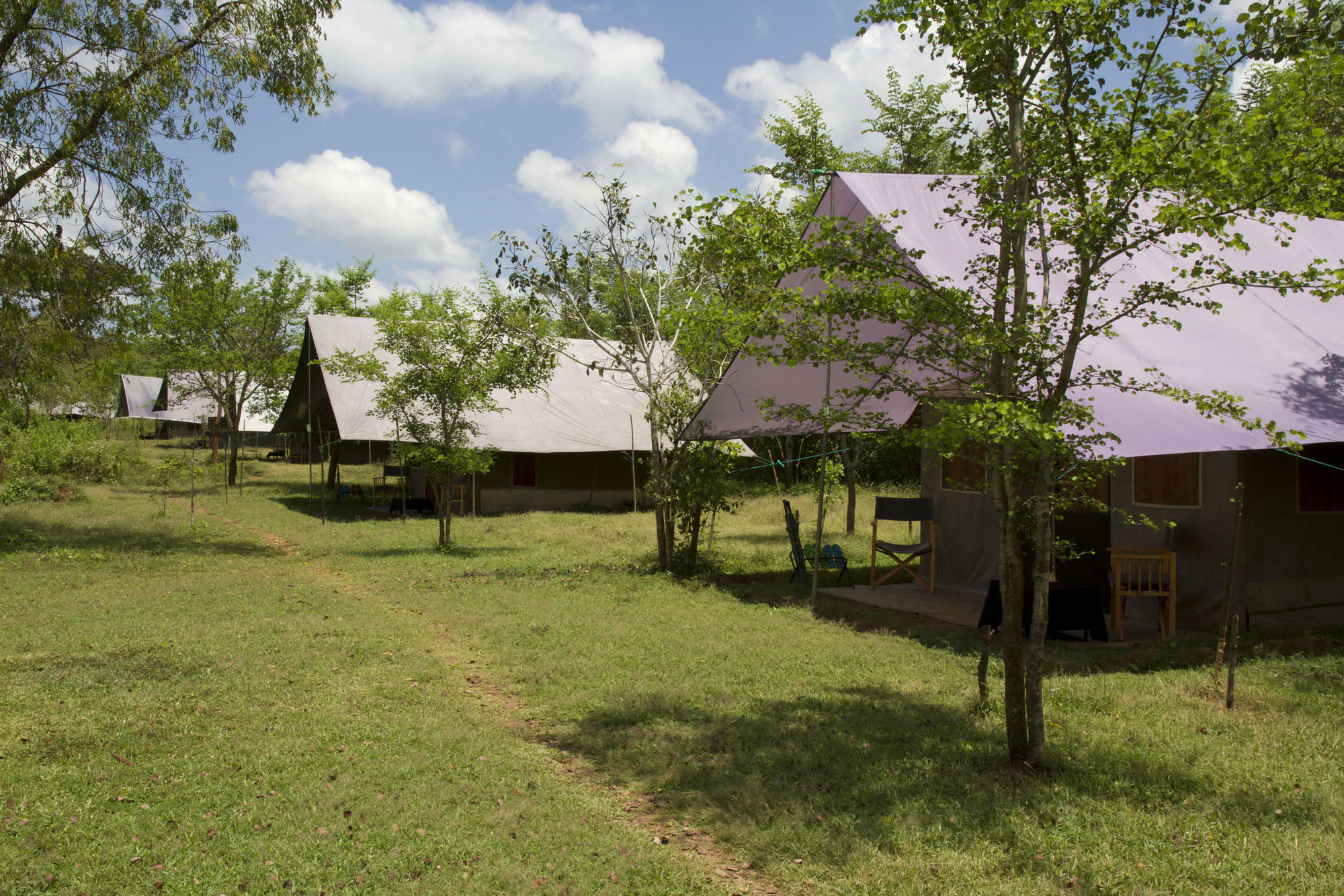 Big Game Udawalawe - By Eco Team Hotel Екстериор снимка